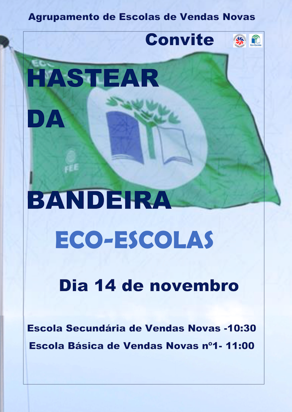 BandeiraEcoEscolas