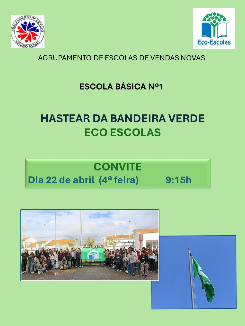 HastearBandeiraEBVN1